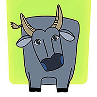 The Water Buffalo King